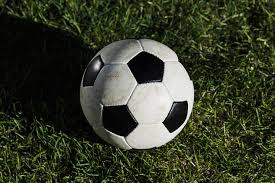 体育从业人士使用足球即时比分移动版进行赛事分析